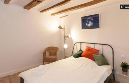 Ramblas Apartment Central BCN - Photo 7