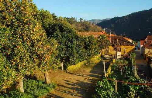 Douro Valley-Casa do Vimieiro - Foto 64