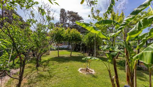 Long Green House - Photo 4, Garden