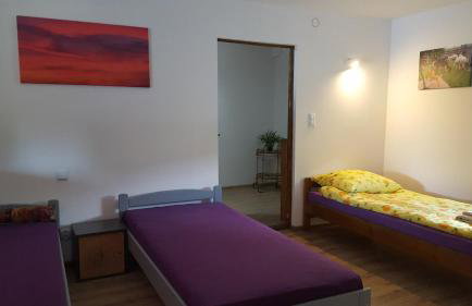 Alpaka-Ranczo AFF - Foto 38