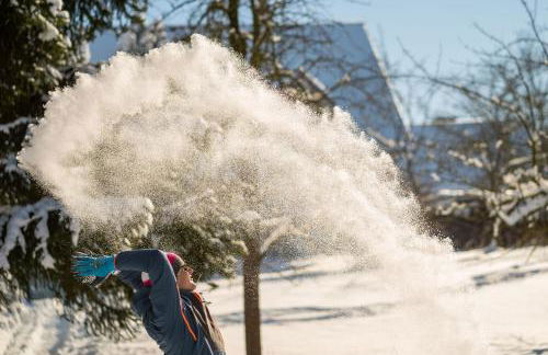 Ferienhof Homann Sauerland - Foto 59