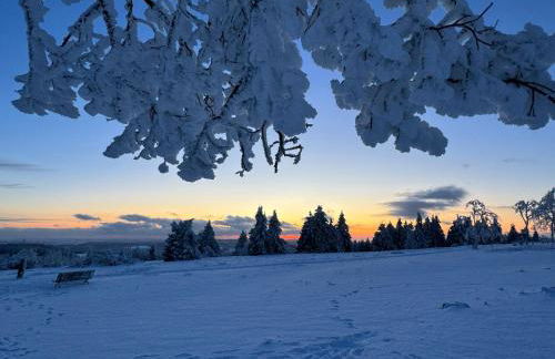 Ferienwohnung Brandenburger - Foto 44