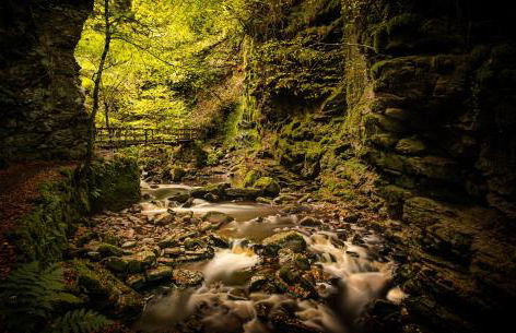 The High Croft - Foto 31