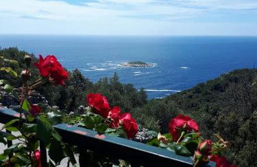 Apartments with parking space Maranovici, Mljet - 22339 - Foto 11