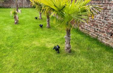 Gîte avec piscine - Foto 47