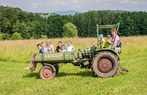 Panoramahof Stief - Photo 6