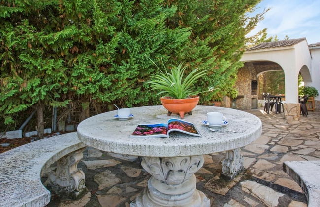 Conchi in Lloret de Mar - Photo 9