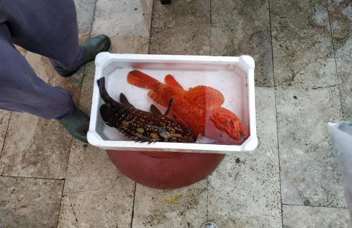 Aspra al delfino blu - Foto 37