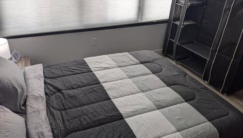 Beautiful 2 Bedroom Apt in downtown silverspring - Photo 3