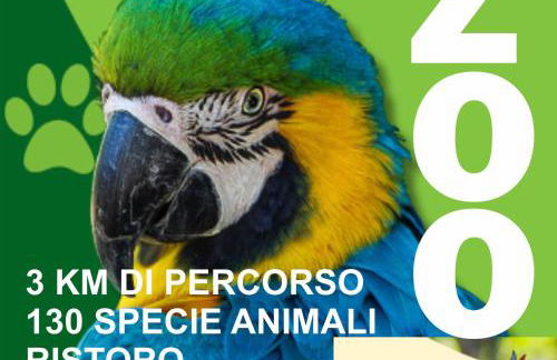 Etrusca shabby chic apartment - Tuscany - Venturina Terme - Foto 50