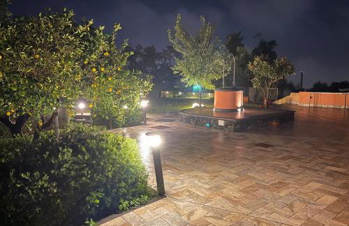 La Casetta di Lollò - Foto 34