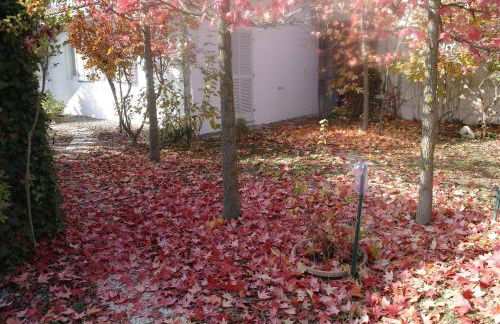 casa banana - Foto 15