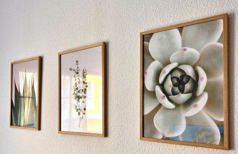 La Esterlicia - Foto 36