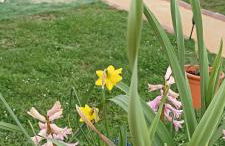 Gîte La Pequelette - Foto 37