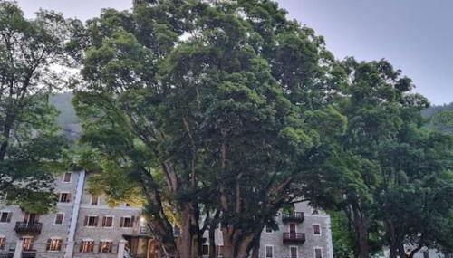 Appartamenti e camere del Re e della Regina - Grand Hotel Ceresole Reale - Foto 3