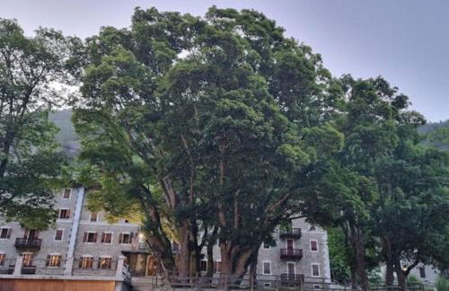 Appartamenti e camere del Re e della Regina - Grand Hotel Ceresole Reale - Foto 3