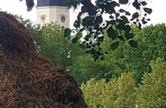 Apartment Spree Idyll by Interhome - Foto 22