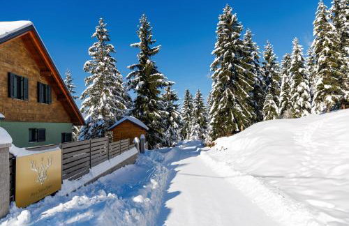 Villa Stella Verde - Wellness Villa with a swimming pool, hot tub and sauna - Foto 5