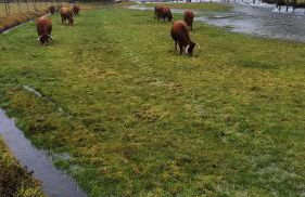 Aldeia de Moura Morta - Foto 15