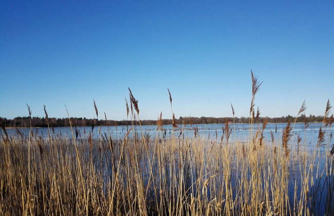 Scenic Holiday Home in Hemmet near Ringkobing Fjord - Photo 32