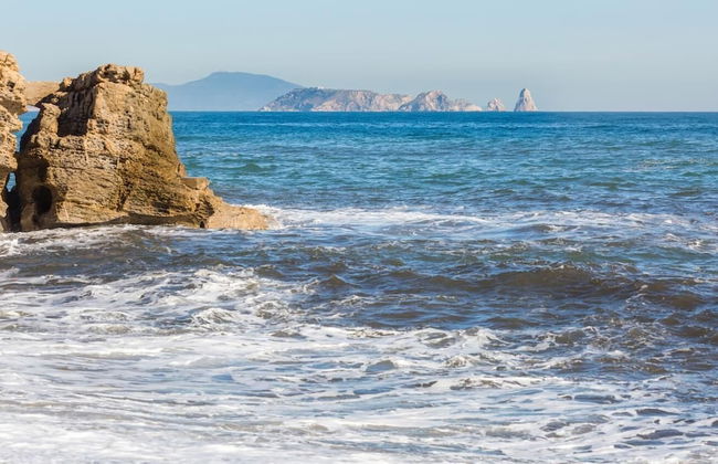 Apartment Open Pals - Photo 28