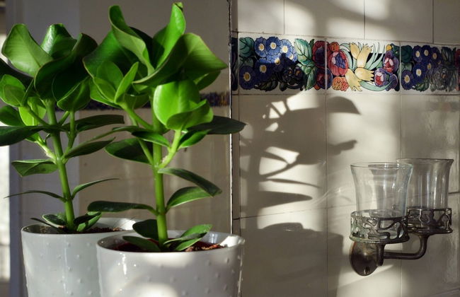 Villa Vorbourg 15 - Foto 15