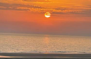 Appartement Studio 35 m2 face à l'Ocean - Foto 10