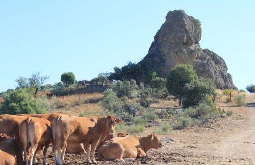 Casa El Callejo de La Fregeneda - Foto 26