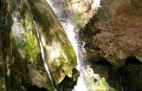 Casa Dolores - Photo 23