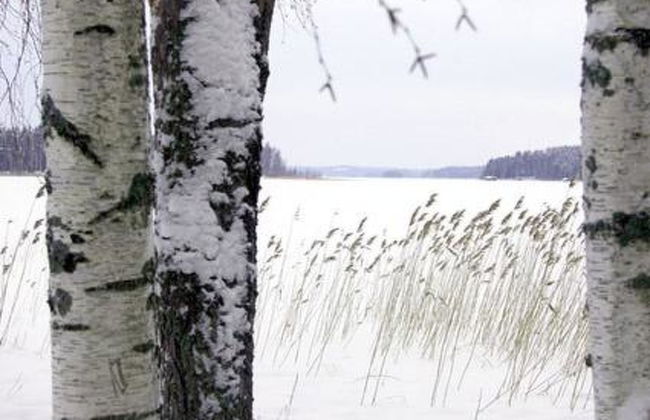 Kopinkallio 1 - Foto 19