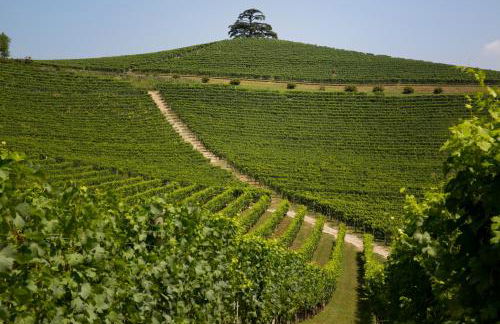 Agrisuite Il Cedro - Photo 43