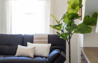 Pickleball - 2 Homes - Sleeps 20 - 151 Brew Trail - Foto 25