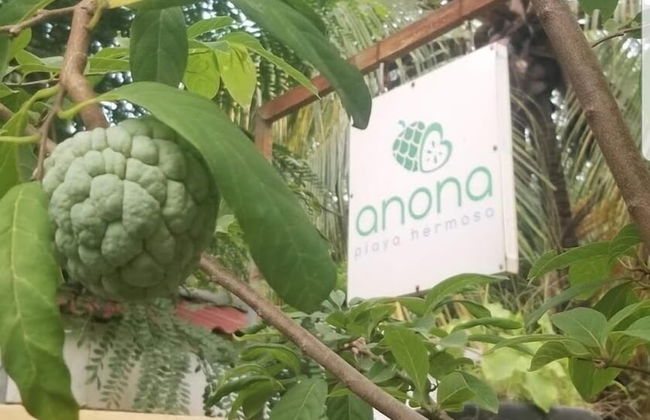 Anona Guesthouse - Foto 29