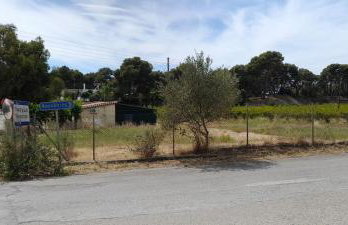 Ktima Rodies in Neochori Zacharo - Foto 31