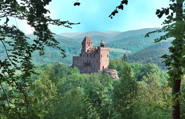 Waldzauber Comfortable Holiday Residence - Photo 16