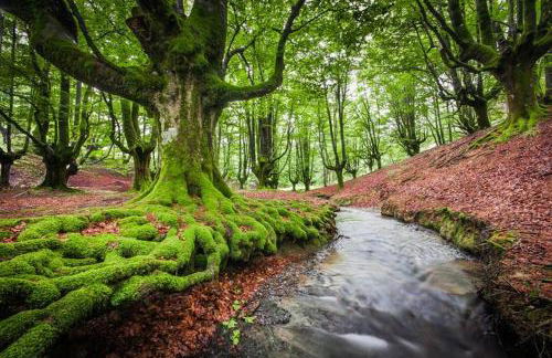 "Amaluz Ocean Villa" Bilbao Beach para familias y grupos de amigos - Foto 50