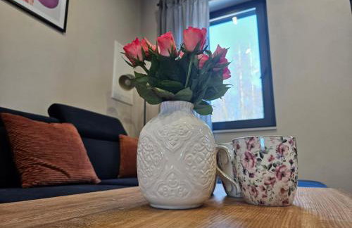 Apartament Vici nad jeziorem Nyskim - Foto 4