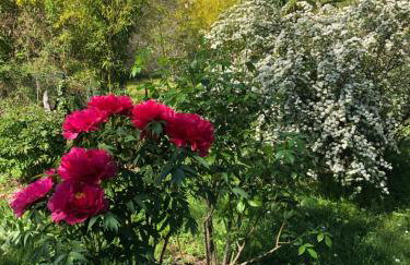Gîte des pins - Foto 19