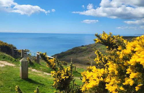 Three Wishes - Winchelsea Town - Foto 19