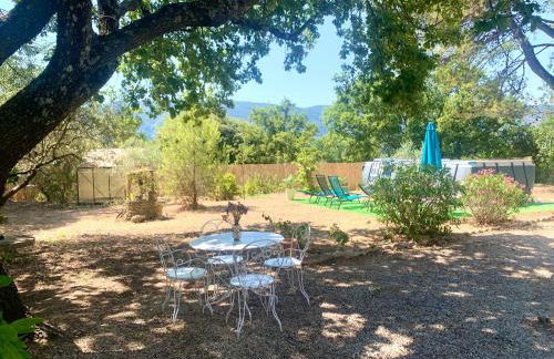 La maison aux oiseaux - Luberon - Foto 15