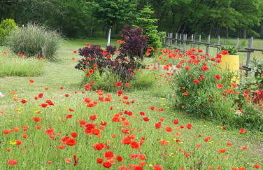 La Douceur de Vivre près du parc Le Pal - Foto 13