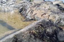 Charmant studio avec loggia vue mer - Foto 21