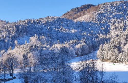 Ferienwohnungen Rohnbogner - Foto 12