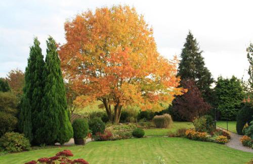 Ferienwohnung Katzan - Foto 12