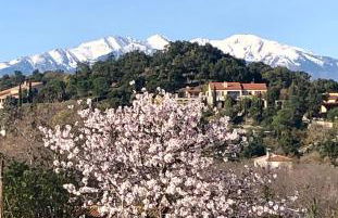 Le Mas des Alberes Piscine privative proche mer et Collioure, climatisation, parking ,WiFi - Foto 32