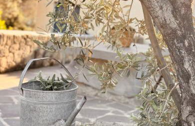 Kontos Village House - Foto 21