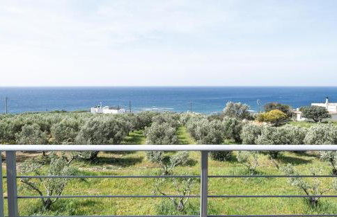 View West Elafonisi house - Foto 7