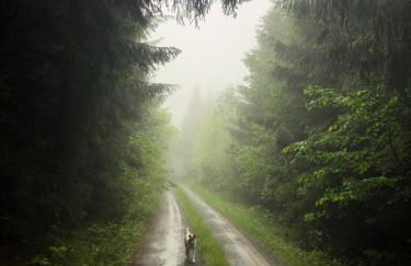 Appartment am Königsberg, Lössau - Foto 21