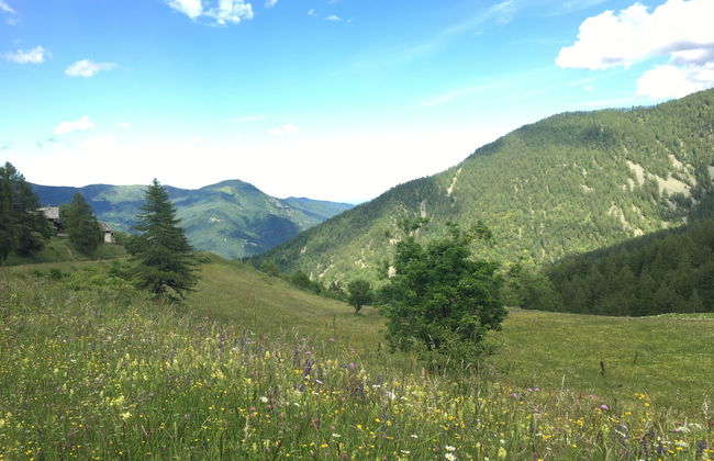 Casot Pra Viei - Foto 19