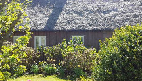 Marie Carla - Foto 2